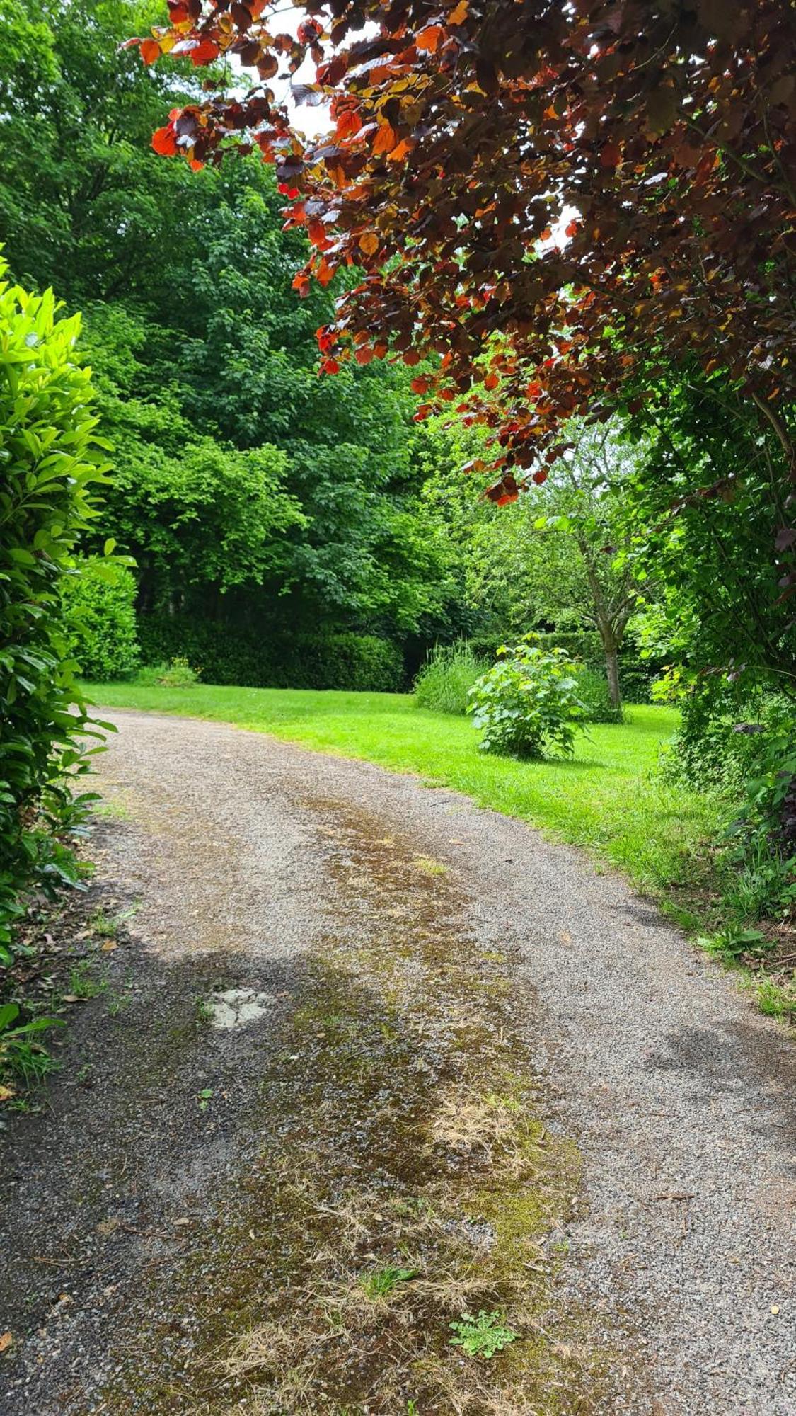 Vila La Taniere Gueures Exteriér fotografie