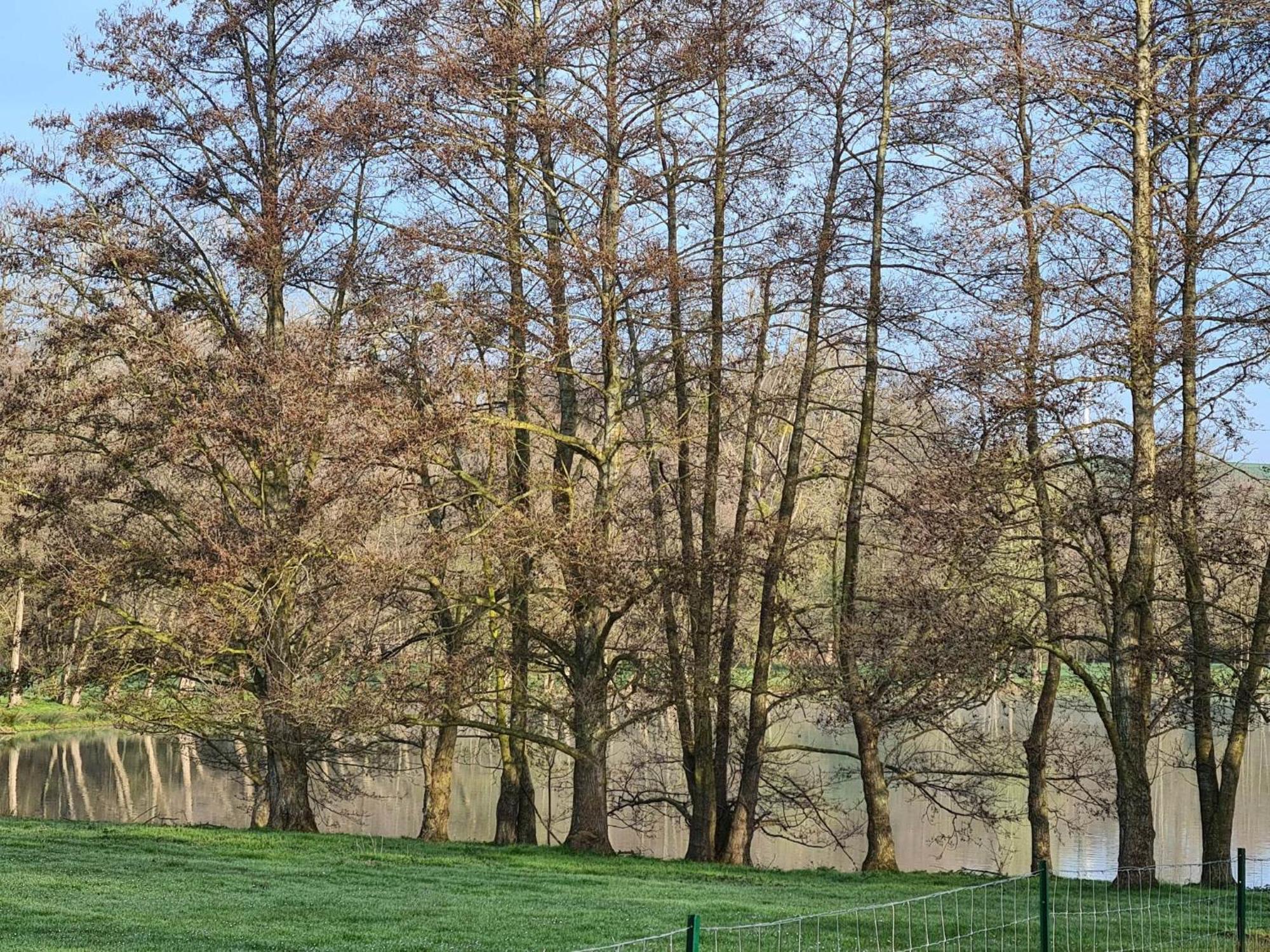 Vila La Taniere Gueures Exteriér fotografie